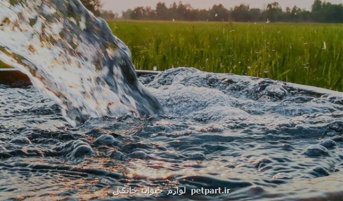 ۹۶ درصد آب های زیرزمینی كاربرد كشاورزی ندارد