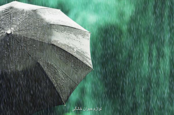 بوشهری ها منتظر باران و رعد و برق باشند