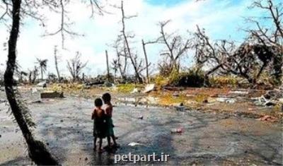 محیط زیست، قربانی خاموش درگیری های مسلحانه جهان