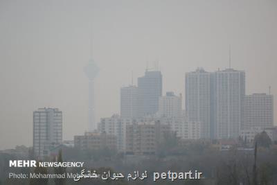 همه مدارس تهران فردا هم تعطیلست