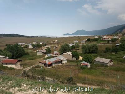 غده سرطانی جدید در دشت جهان نما