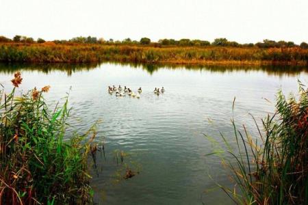 لبخند طبیعت تالاب توپراق كندی به گردشگران زمستانی اردبیل