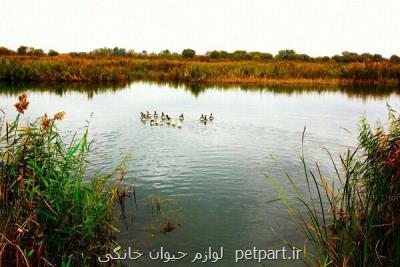 لبخند طبیعت تالاب توپراق كندی به گردشگران زمستانی اردبیل