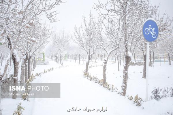 اخطاریه سازمان هواشناسی درباره تشدید فعالیت سامانه بارشی