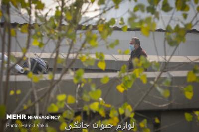 هوای پایتخت پاك شد