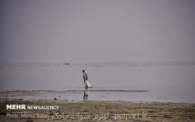 میانكاله مرز ندارد