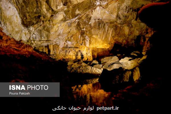 غارها و موزه تنوع زیستی تعطیل شدند