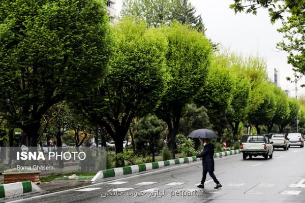 بارش باران در بیشتر مناطق كشور