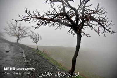 اخطار نارنجی به اخطار قرمز برای استان های جنوبی تغییر نمود