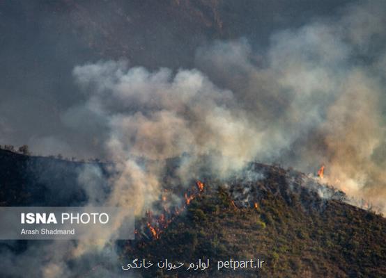 10 نكته درباره وقوع آتش سوزی در جنگل ها و راههای جلوگیری از آن