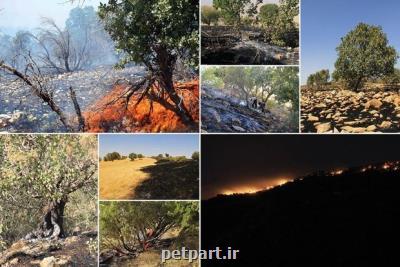 210 هزار هكتار جنگل های استان سمنان در كانون آتش قرار دارند
