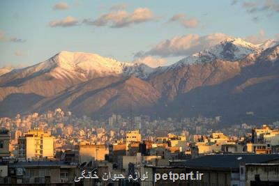 هوای تهران سالم می باشد