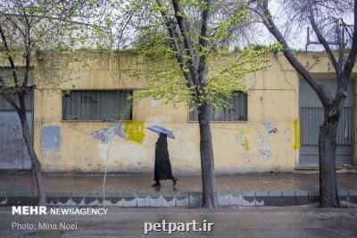 بارش پراكنده و رعدوبرق برای ۵استان