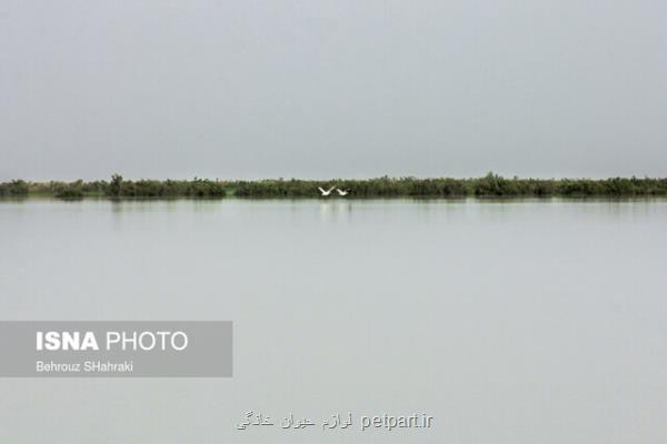 امضای سند پنج ساله فاز سوم طرح حفاظت از تالاب های ایران