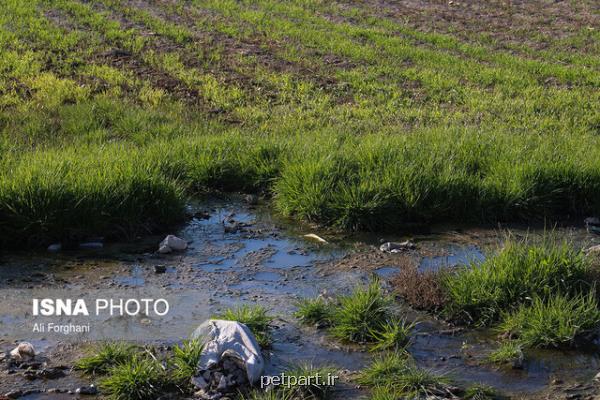 فاضلاب تصفیه شده در بحران آبی یك فرصت است