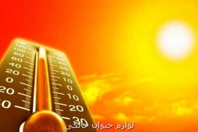افزایش نسبی دما در شمال كشور