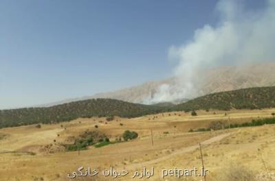 مهار آتش سوزی جنگل های بویراحمد
