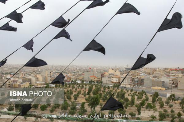 وزش باد شدید در نوار شرقی كشور طی ۴ روز آینده