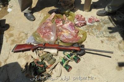 2 گروه شكارچی در دامغان دستگیر شدند