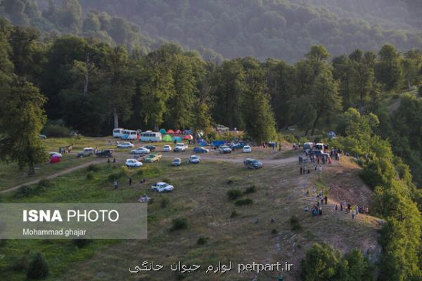 بد ریتمی در حادثه جهان نما، وقف كوه و جنگل