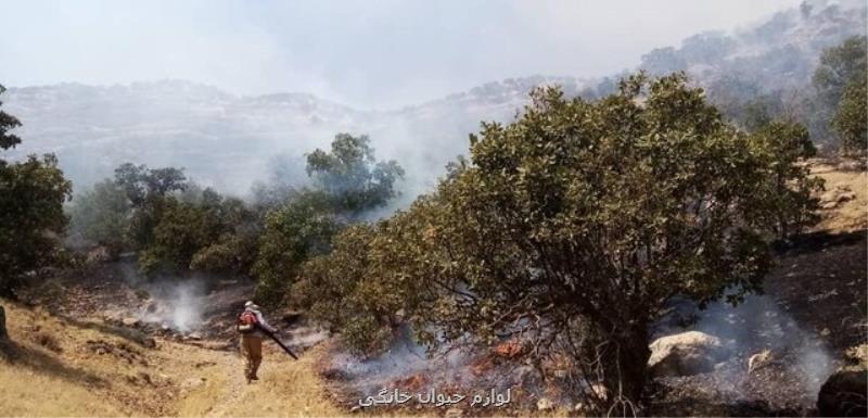 آتش سوزی منطقه حفاظت شده دنا بعد از ۳ شبانه روز مهار گشت