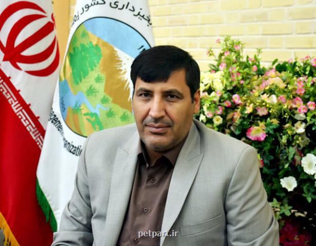 اجرای طرح كاداستر در صدر كارهای منابع طبیعی استان تهران