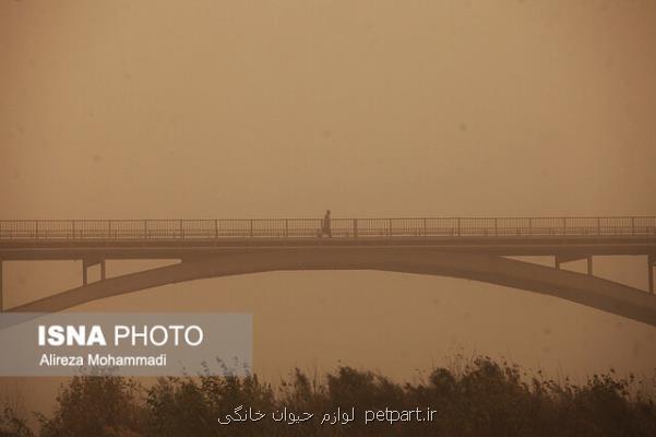 تدوین برنامه برای مقابله با گرد و غبار در منطقه خاورمیانه