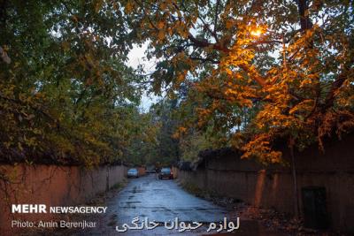 تداوم بارش باران در كشور