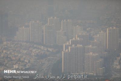كیفیت هوای تهران در پاییز طی هیچ روزی برای همه افراد ناسالم نبود