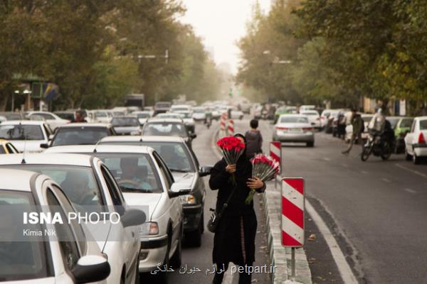 هوای پایتخت آلوده شد