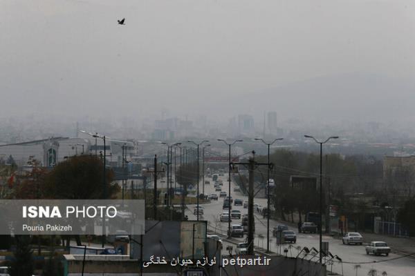 وضعیت خطرناك هوای برخی مناطق تهران