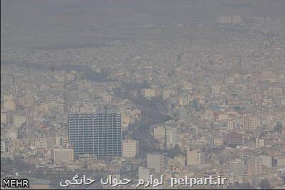بحران آلودگی هوا در شهرهای استان مركزی