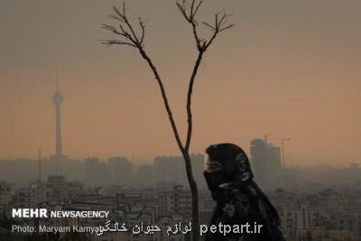 هوای پایتخت برای گروه های حساس ناسالم شد