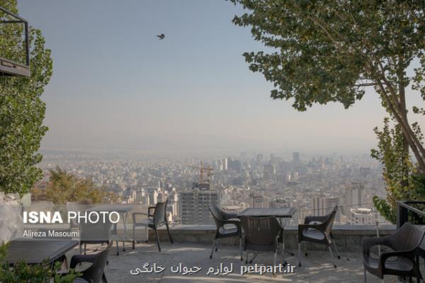 غلظت آلاینده دی اكسید گوگرد در بعضی نقاط تهران تا ۵۰ درصد بیشتر شده است