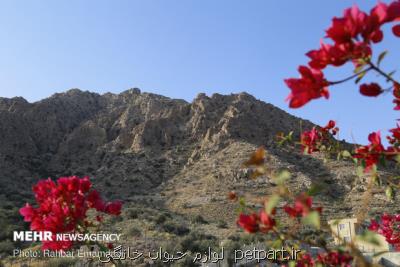 تصویب منطقه حفاظت شده انزان شهرستان مشگین شهر