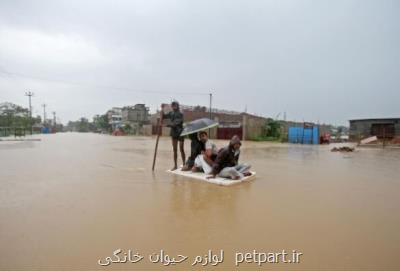 احتمال فوت ۱۵۰ تن به دنبال شكسته شدن یخچال طبیعی هیمالیا