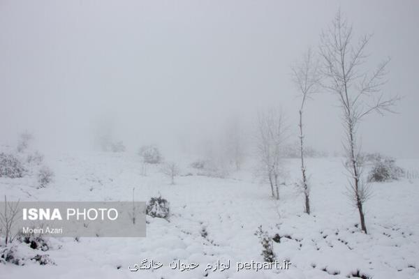 بارش برف و باران و كاهش دما تا ۱۸ درجه