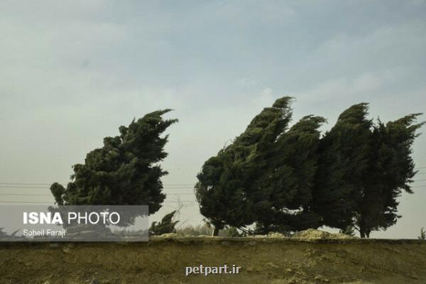 هشدار هواشناسی نسبت به وزش باد شدید تا ۱۱۰ كیلومتر سرعت